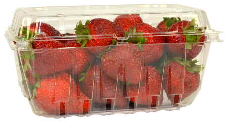 Boutures en tubes à Essai - Strawberries